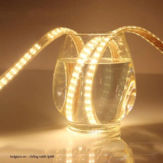 Đèn Led dây đôi trang trí 2835 siêu sáng 2 hàng
