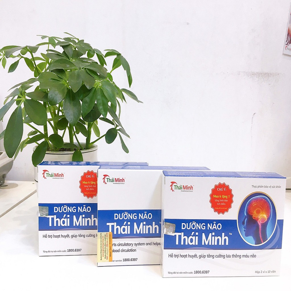 DƯỠNG NÃO THÁI MINH - Hỗ trợ hoạt huyết, giúp tăng cường lưu thông máu não (Hộp 20 viên)