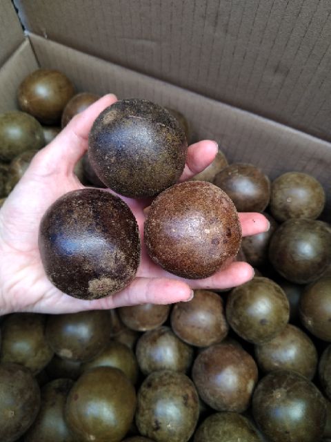 LA HÁN QUẢ khô chín nhỏ