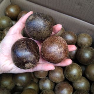 LA HÁN QUẢ khô chín trung