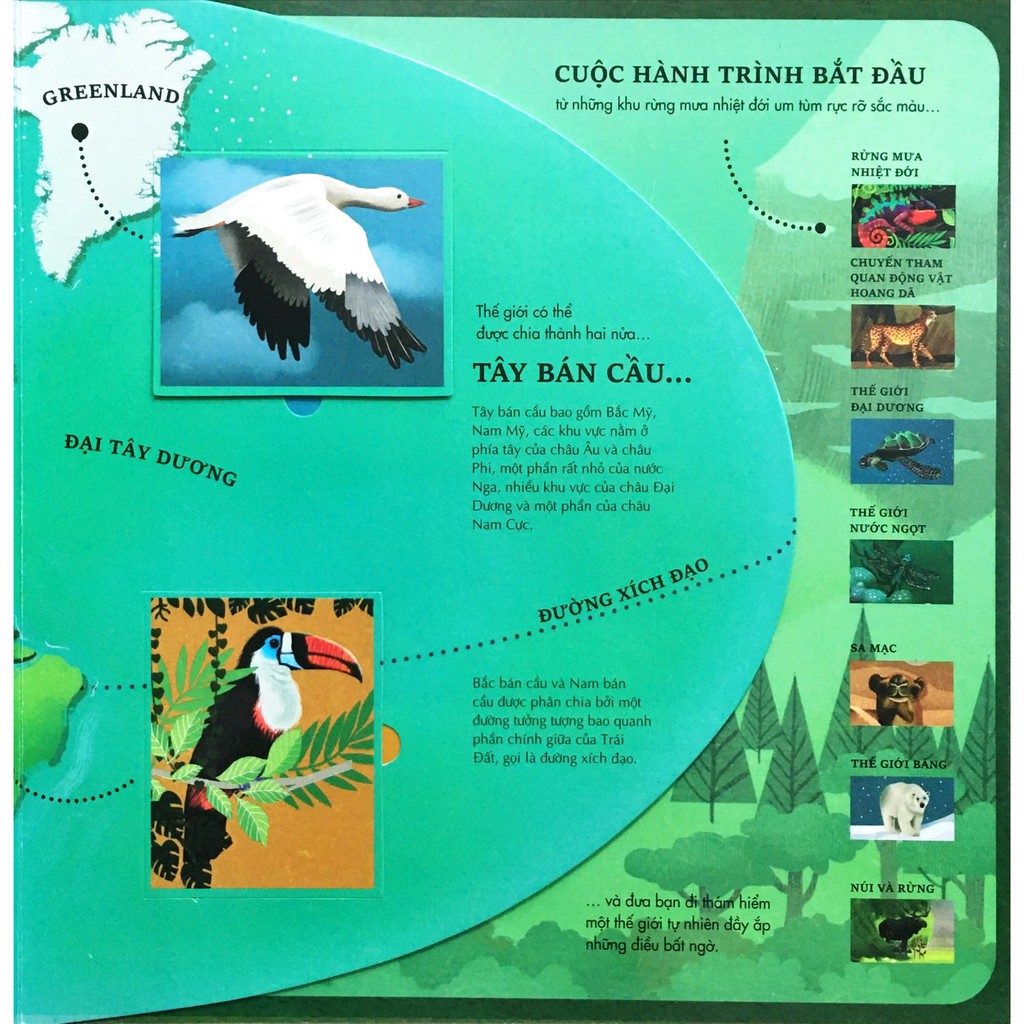 Sách - Atlas Đa Tương Tác Về Động Vật Hoang Dã - Wilderness: An Interactive Atlas Of Animals