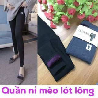 Quần Mèo lót lông