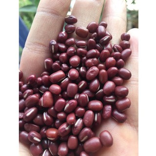 1kg đậu đỏ quê ngon sạch 100%