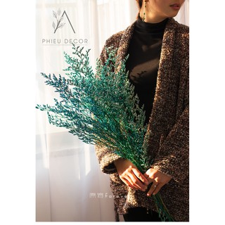 [HOA KHÔ] DRIED STATICE🌸Decor Nhà, Phụ Kiện Chụp Ảnh