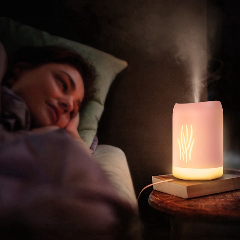 Máy Phun Sương Fnelse Tạo Độ Ẩm Không Khí Có Đèn LED Sạc Bằng Cổng USB Dành Cho Xe Hơi 340ml