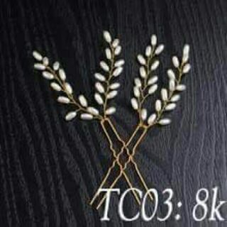 CÀI TÓC CÔ DÂU