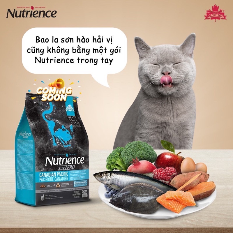 Hạt Nutrience Subzero Canadian Paciflic dành cho Mèo vị Cá biển & rau củ . Thức ăn hạt cao cấp dành cho mèo ( Sub xanh )