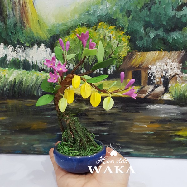 Bonsai Mini- Cây Khế Mini 01