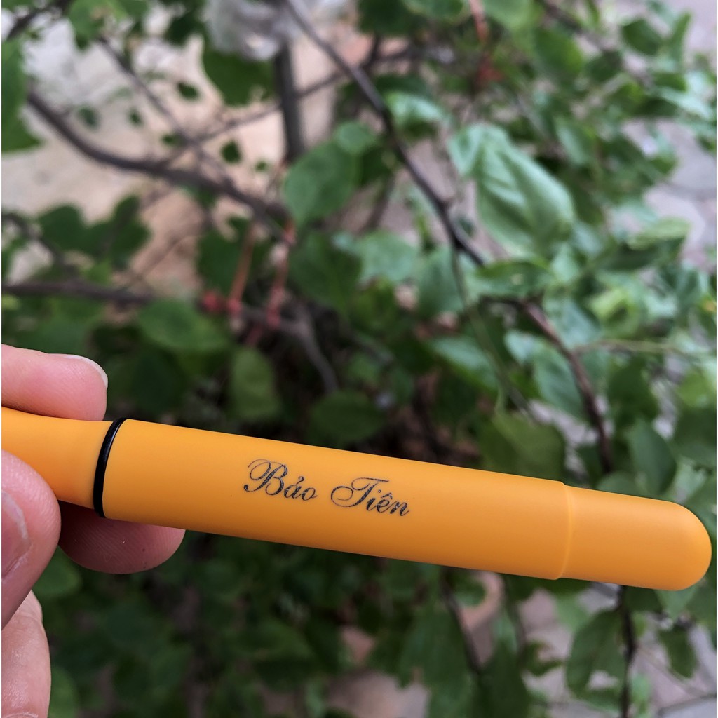 Bút máy học sinh Cánh Diều 202 phủ nano nhám