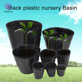 Set 100 chậu ươm mầm bằng nhựa resin chất lượng cao