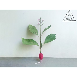 Cây củ cải đỏ bằng giấy nhún
