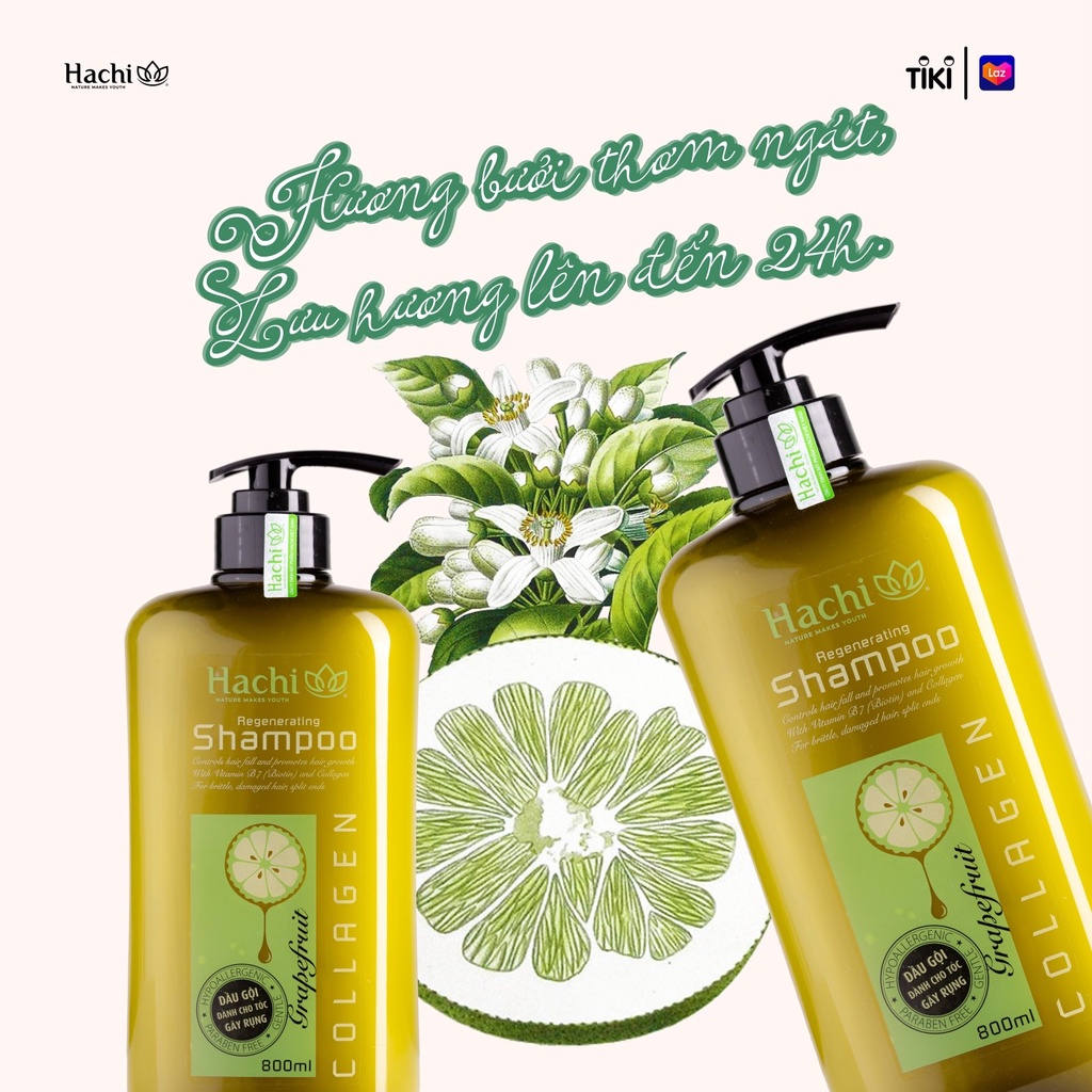 Dầu gội bưởi cho tóc gãy rụng Hachi Regenerating chiết xuất GRAPEFRUIT thiên nhiên lành tính - Hachi Regenerating Shampo