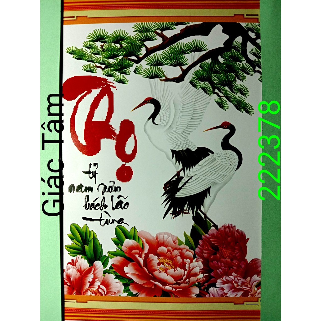 Tranh thêu THỌ TỶ NAM SƠN BÁCH LÃO TÙNG - 50x65cm - 222378 - SONG HẠC MẪU ĐƠN TÙNG CHỮ - tranh thêu chữ thập đã thêu