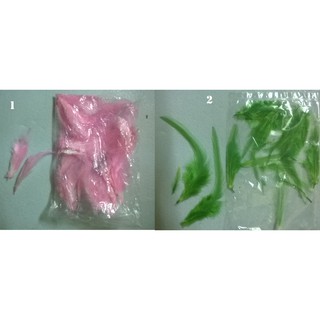 Lông vũ nhiều màu