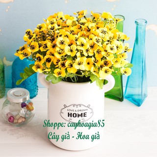 Hoa giả - Cành hoa cánh bướm