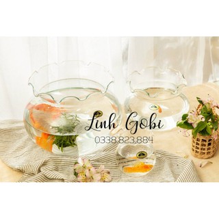 Bể cá thủy tinh mini để bàn miệng bèo
