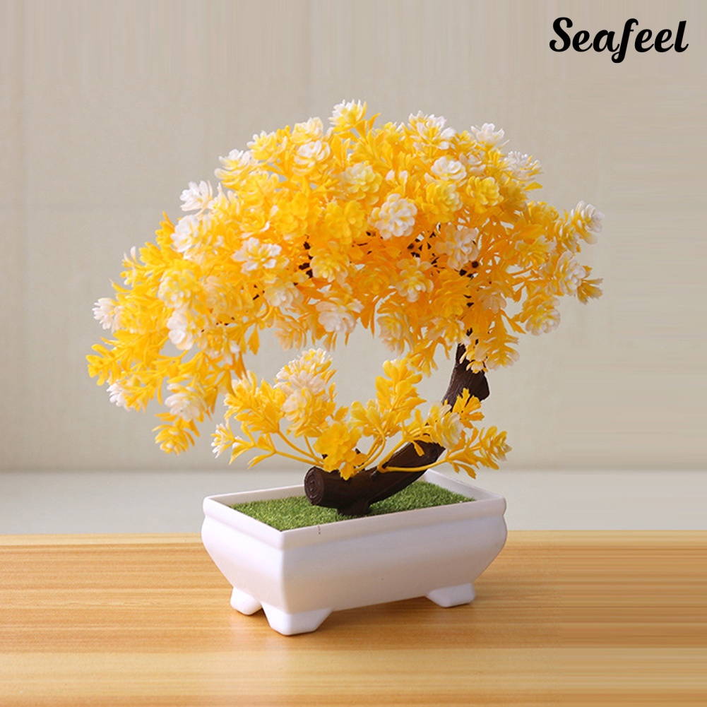 Chậu Cây Bonsai Giả Trang Trí Bàn