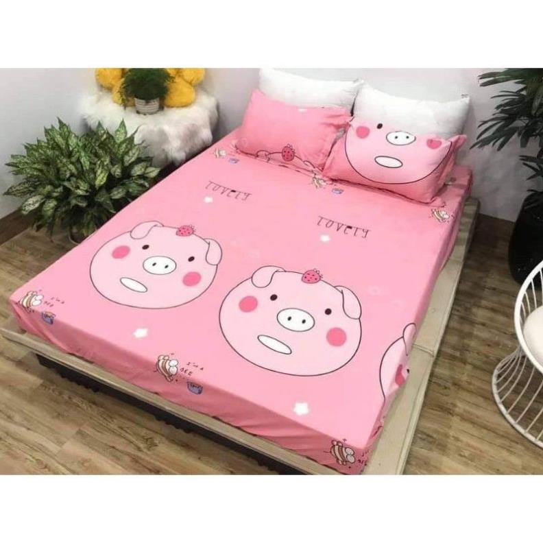 Bộ ga gối 3 món poly cotton mẫu mới 2020 (được chọn mẫu)