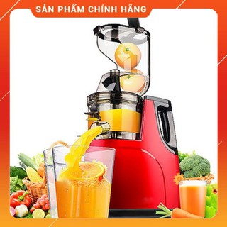 Máy ép chậm hoa quả HONGXIN RH312, ép rau củ quả,  BH 12 tháng, mẫu mới 2021