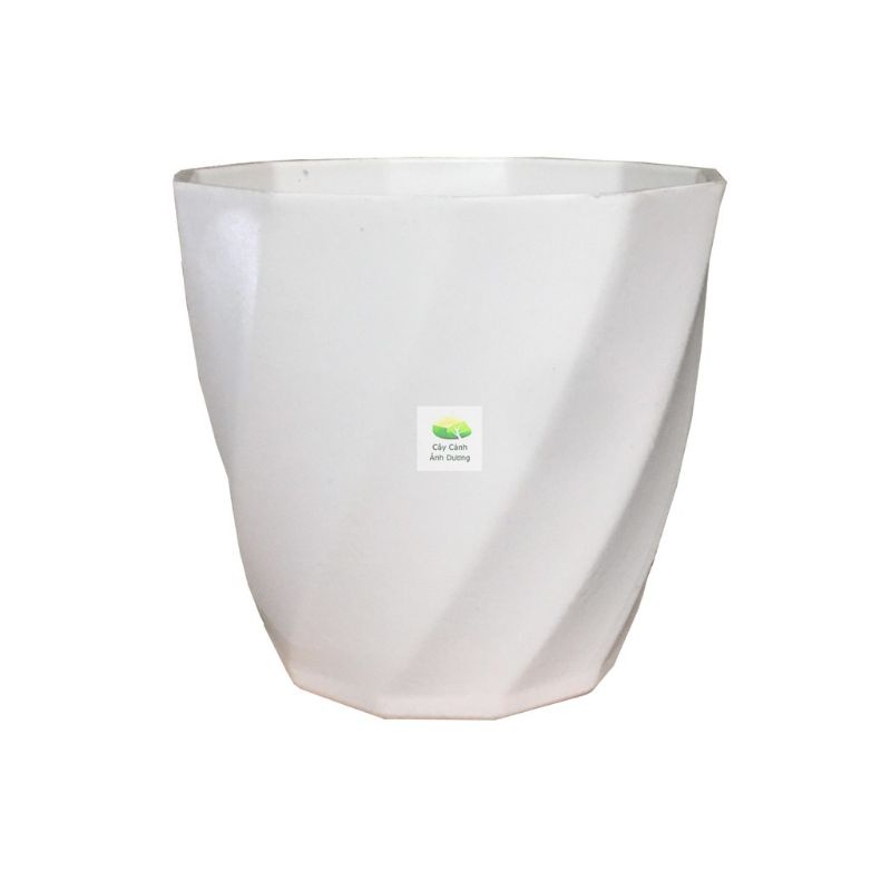 Chậu trồng cây xoắn cao cấp siêu đẹp