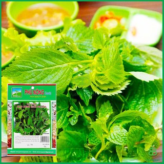 Hạt Giống Kinh Giới , Chịu Nhiệt, Dễ Trồng, Năng Suất Cao - Gói 2G