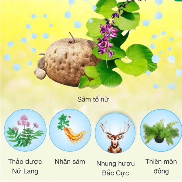 Sâm nhung tố nữ tuệ linh