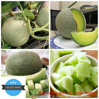 Hạt Giống Dưa Lưới Xanh - 10 hạt