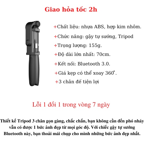 Gậy chụp ảnh L-01 có chân đế