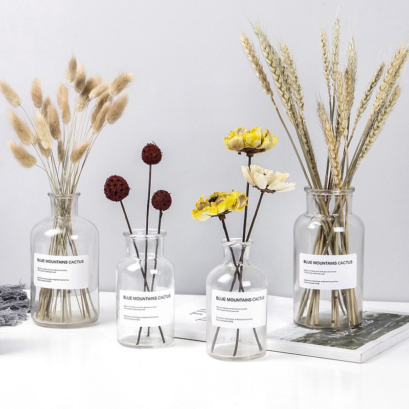 Bình hoa thủy tinh ❤️FREESHIP❤️ Scandinavian bình hoa trưng bày đẹp tinh tế có kèm nơ