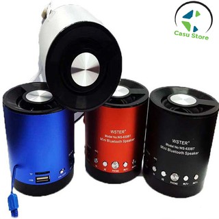 Loa Bluetooth WS 633BT