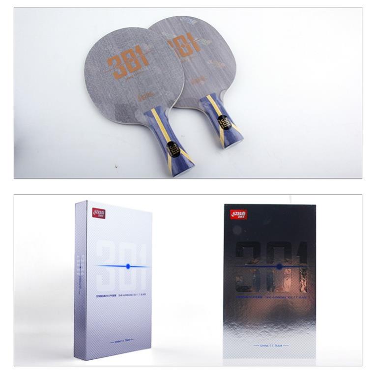 Cốt Vợt Bóng Bàn DHS 301