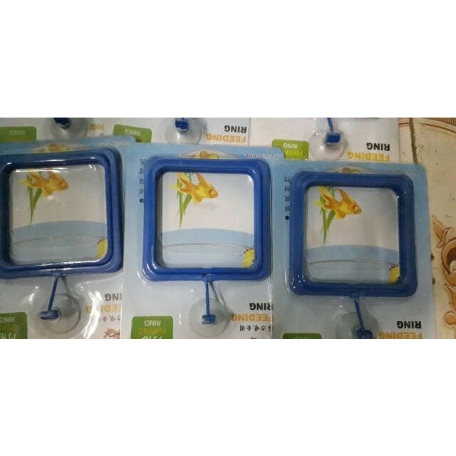 Vòng cho guppy, betta và cá cảnh ăn