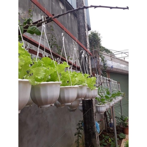 Chậu Nhựa Bí Xinh Xắn Treo Trồng Hoa, Cây Cảnh, Rau Củ Kèm Dây Treo - Chậu To Hàng Loại 1 Dày Đẹp