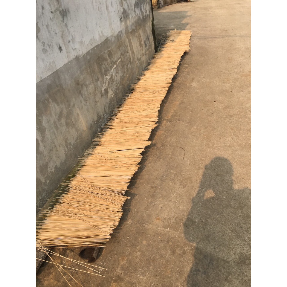 Nan trúc lồng chim già, đẹp, rẻ, đủ loại kích thước