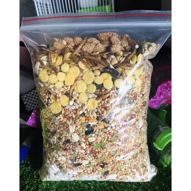 🦋 Thức ăn trộn đặc biệt túi 1kg cho Hamster đầy đủ dinh dưỡng