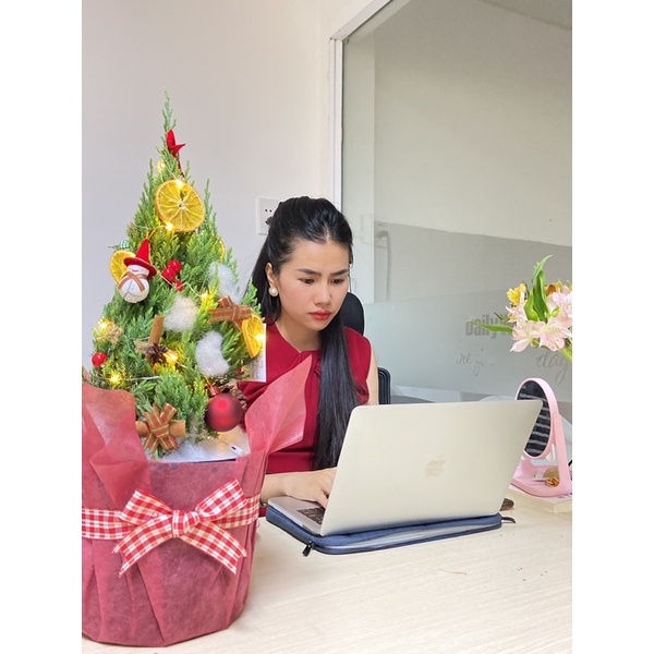 Cây sơn tùng trang trí noel