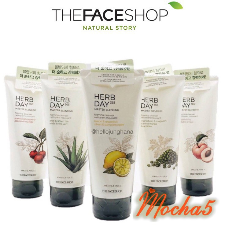 Sữa rửa mặt TFS Herb Day 365 Cleansing Foam The Face Shop 170ml