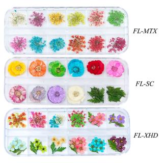Miếng Dán Hoa Khô 3d Trang Trí Móng Tay