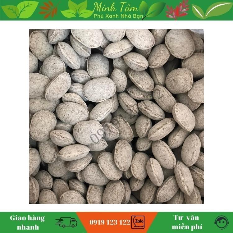 Phân Tan Chậm Hạt Bàng Nhật Nurseryace 12-6-6