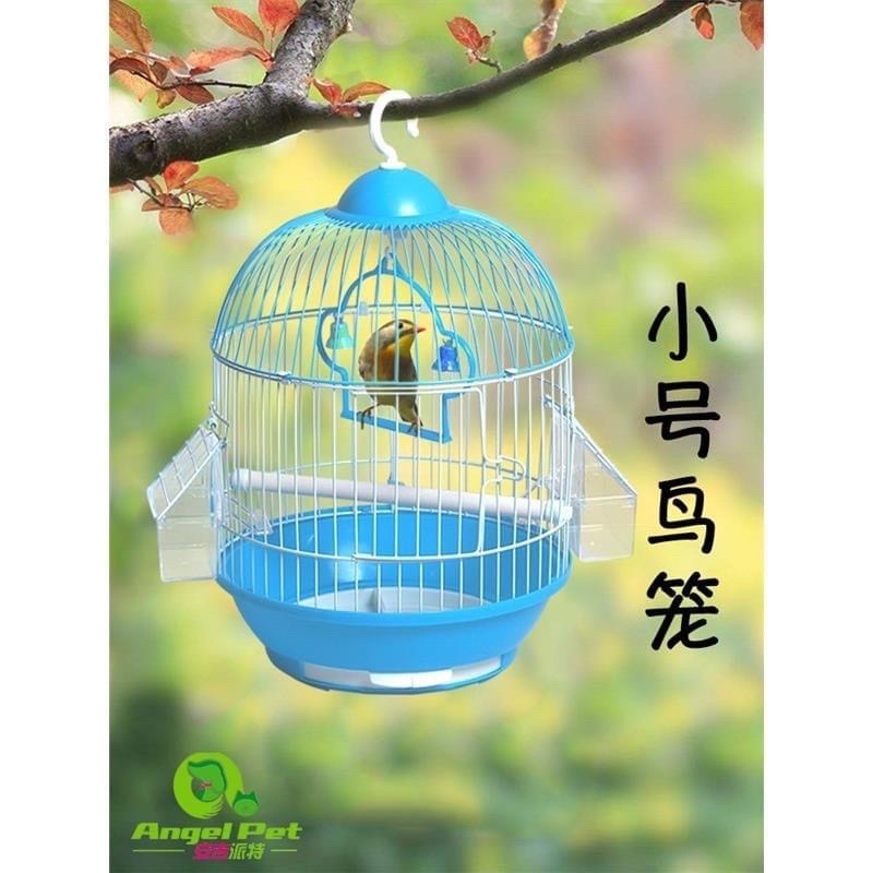 Lồng nuôi hút mật, khuyên