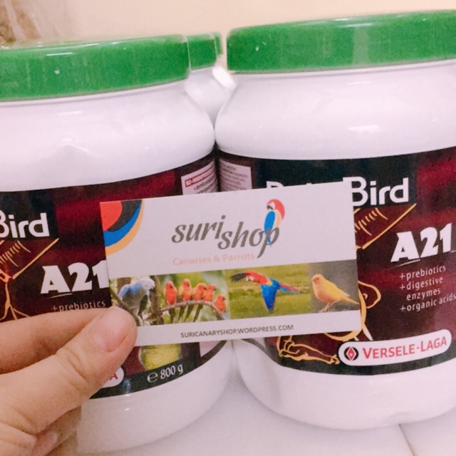 Bột A19/A21 hũ nguyên seal 800g cho chim vẹt