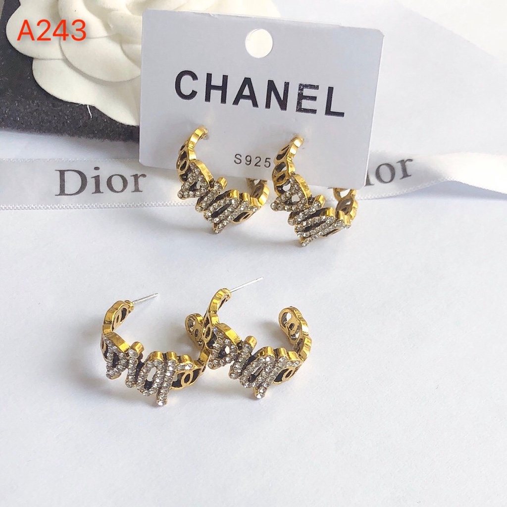 Khuyên Tai Tròn Bằng Thép Titan In Logo Dior Thời Trang Cho Nữ