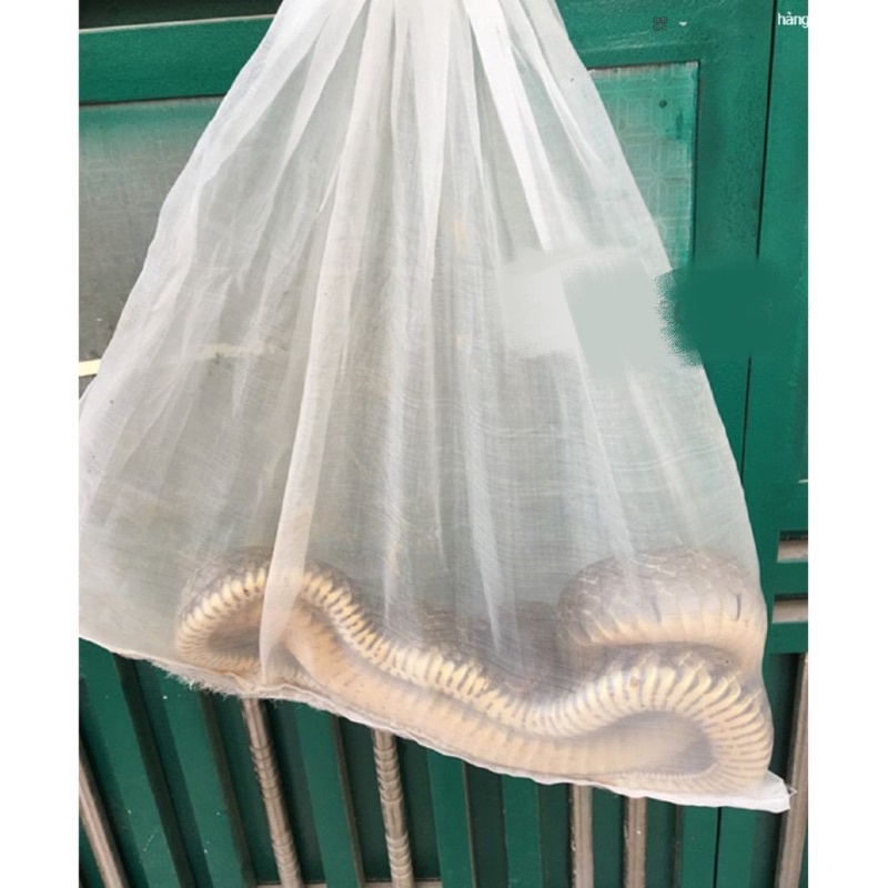 Túi đựng rắn hàng loại 1 rộng 60cm dài 1m đa công dụng đựng hoa quả + rắn V.V y hình