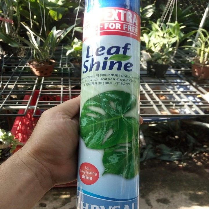 CHAI XỊT BÓNG LÁ 750ML
