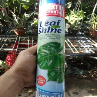 Chai xịt bóng lá 750ml