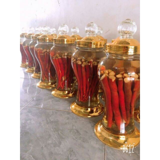 Sâm Cau Đỏ tươi chuẩn Tây Bắc 1 Kg