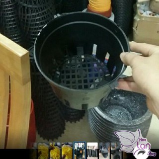 Chậu trồng lan phi 18cm mới về