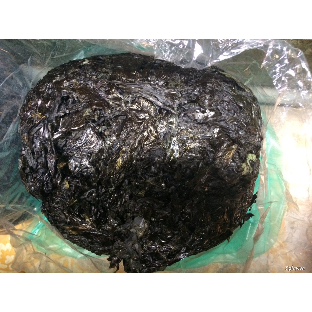 RONG BIỂN MỨT 100G