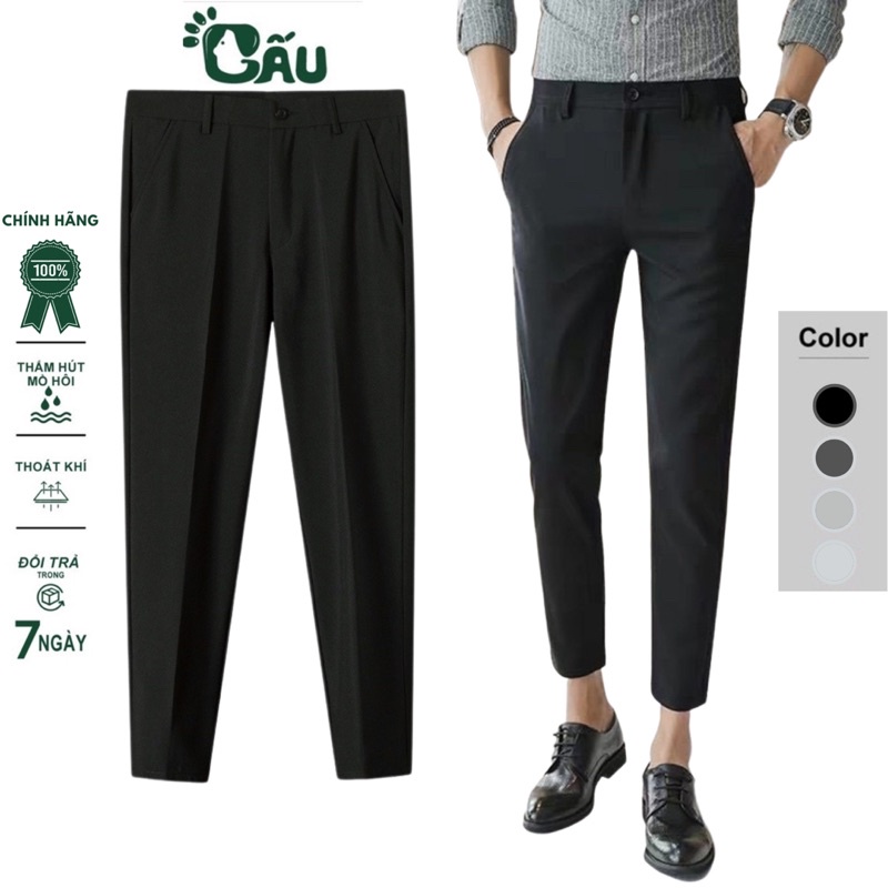 Quần tây âu nam Gấu 194 vải coton co dãn, mềm mịn - form regular sang chảnh - DÀI