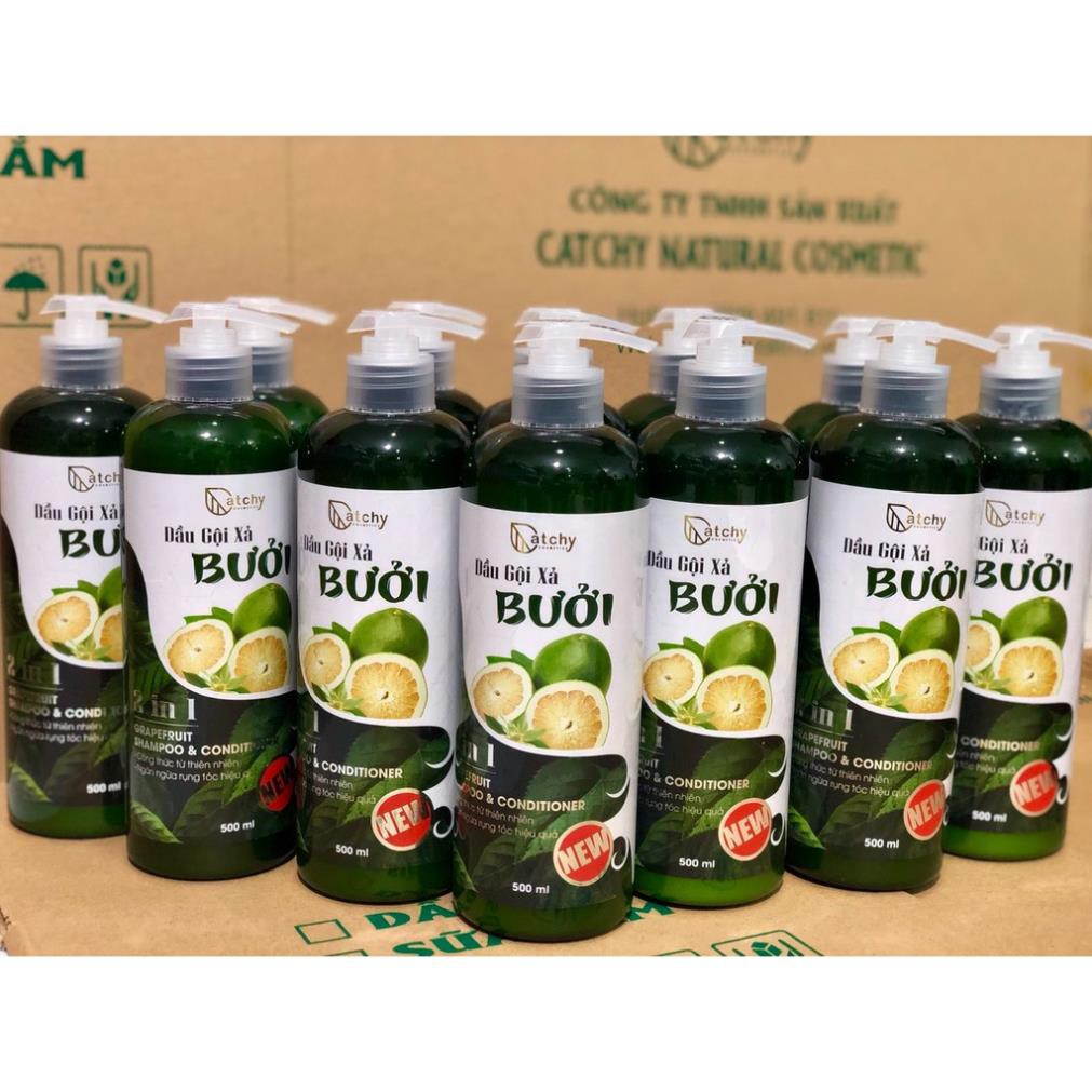 Dầu gội xả BƯỞI CatChy 2in1 thúc đẩy quá trình mọc tóc và chống rụng tóc  | BigBuy360 - bigbuy360.vn